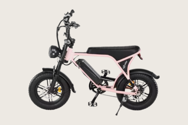 Mini Bicicleta Elétrica Panda V8 Garupa 750w E-bike